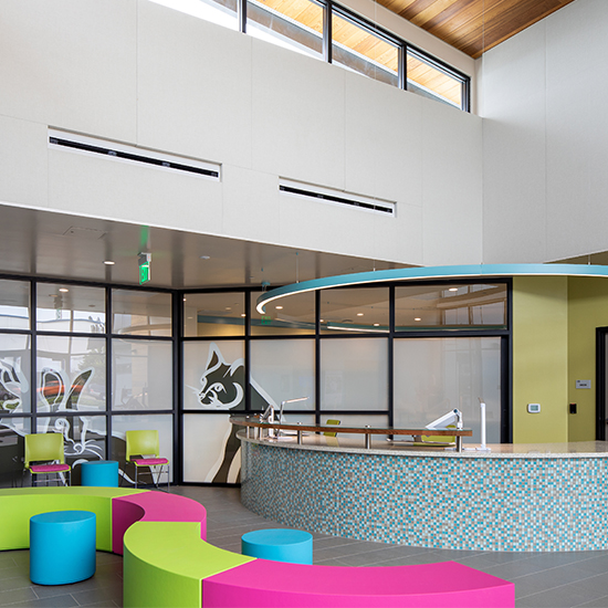 El Cajon Animal Shelter